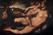 Jacopo Pontormo Venus and Cupid oil painting reproduction